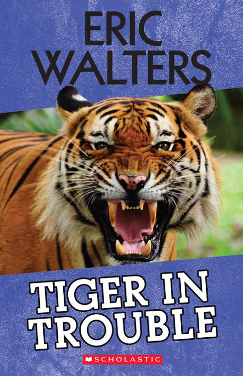 Tiger in Trouble, Tiger
