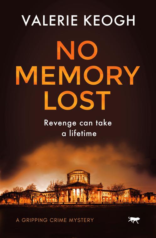 No Memory Lost, The Dublin Murder Mysteries