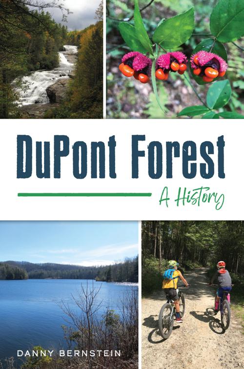 DuPont Forest, Natural History