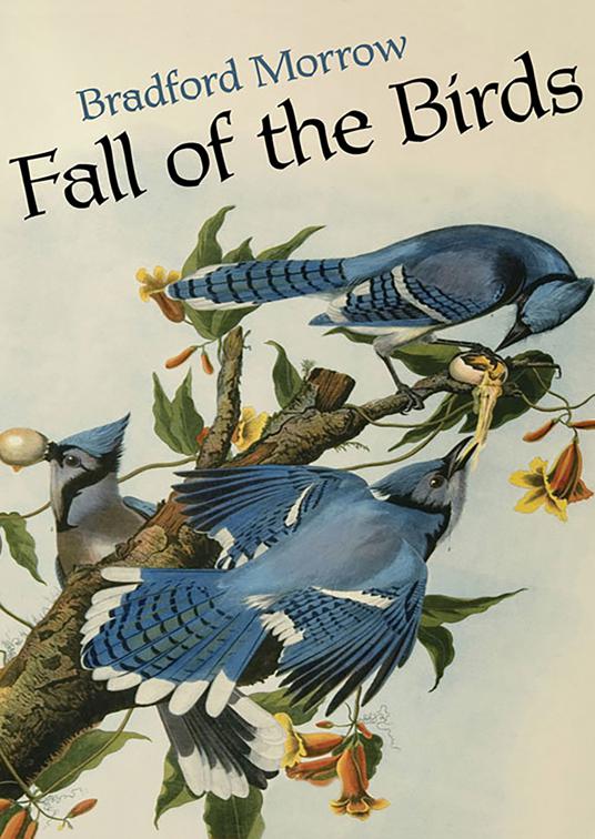 This image is the cover for the book Fall of the Birds