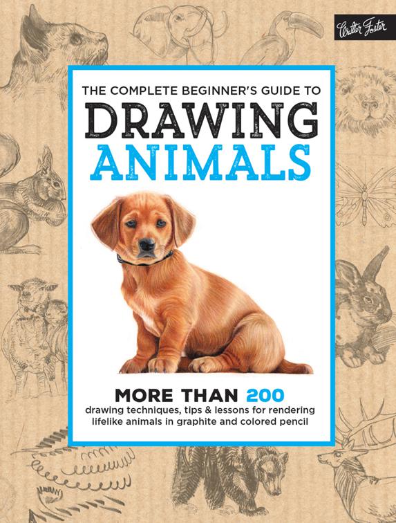 Complete Beginner&#x27;s Guide to Drawing Animals