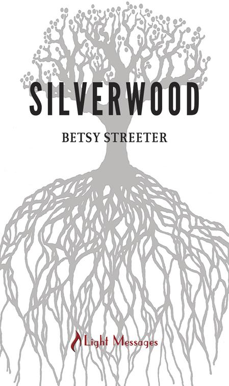 Silverwood, Silverwood