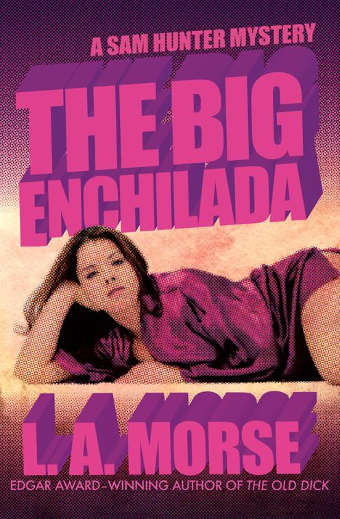 Big Enchilada, A Sam Hunter Mystery