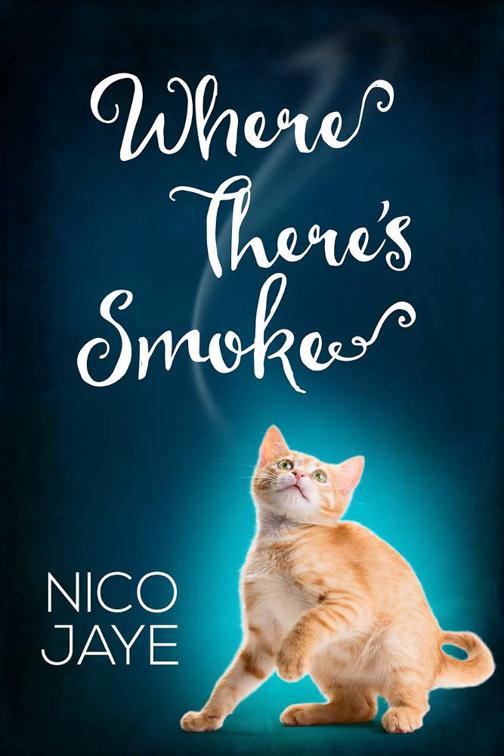 Where There&#x27;s Smoke, 2015 Daily Dose - Never Too Late