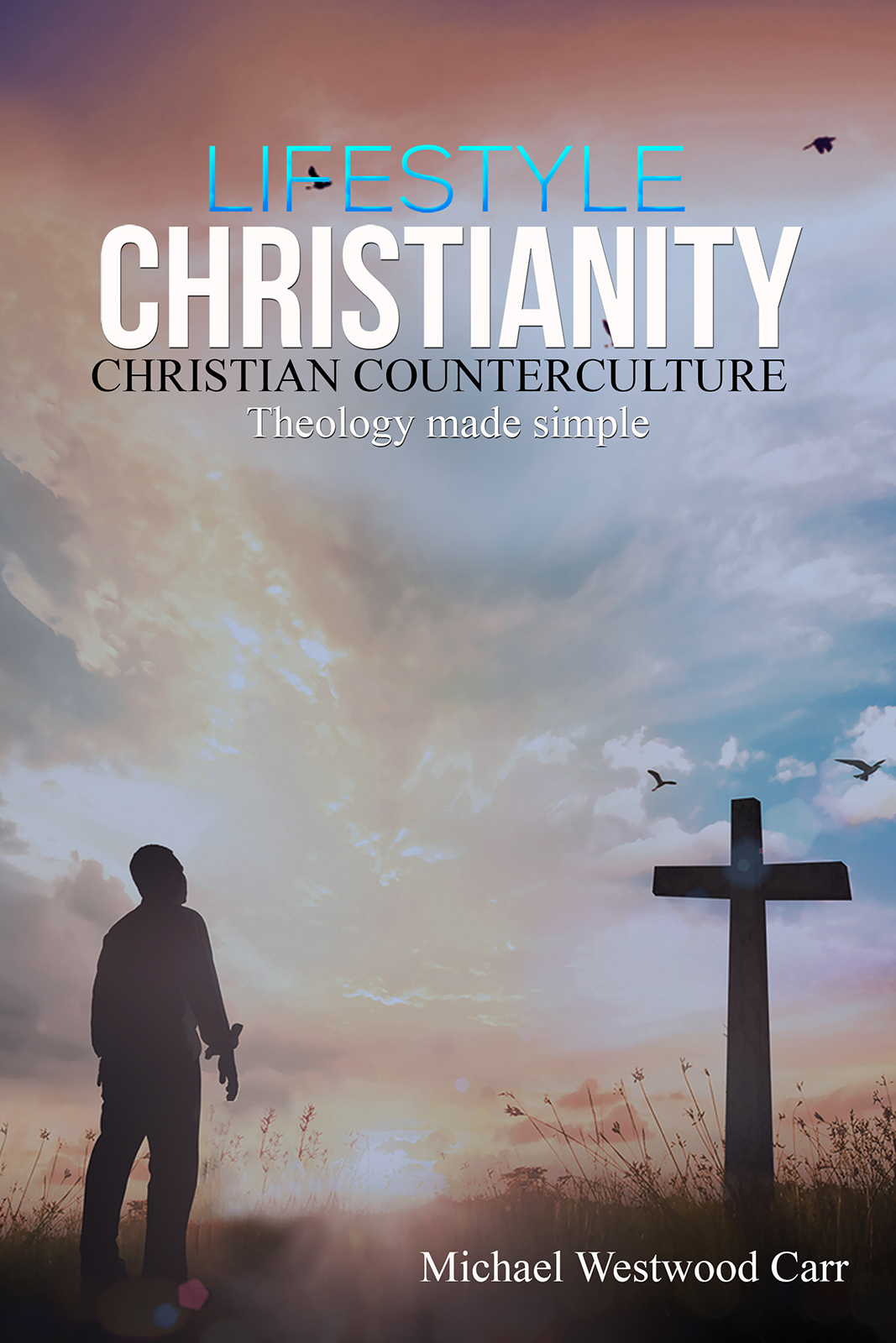 This image is the cover for the book Lifestyle Christianity – Christian Counterculture