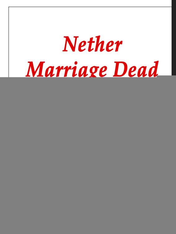 Nether Marriage: Dead Hubby Never Satisfies, Volume 1