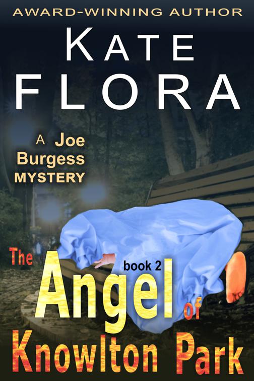 The Angel of Knowlton Park (A Joe Burgess Mystery, Book 2), The Joe Burgess Mystery Series