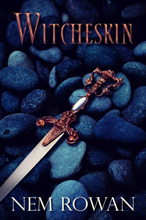 This image is the cover for the book Witcheskin