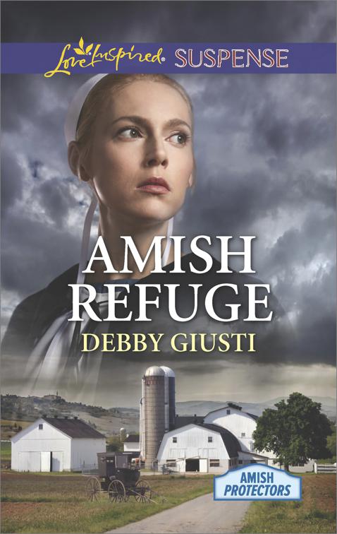 Amish Refuge, Amish Protectors