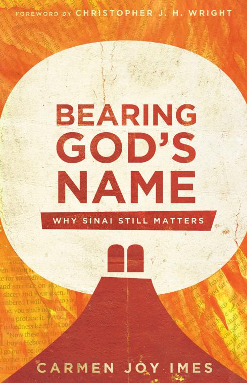 Bearing God&#x27;s Name