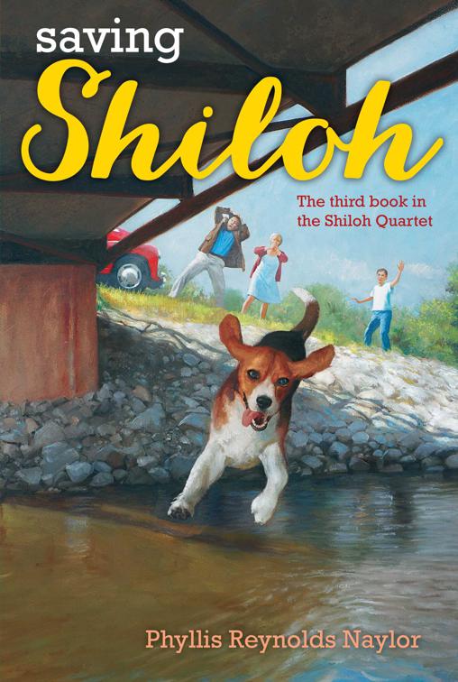 Saving Shiloh, Shiloh Series