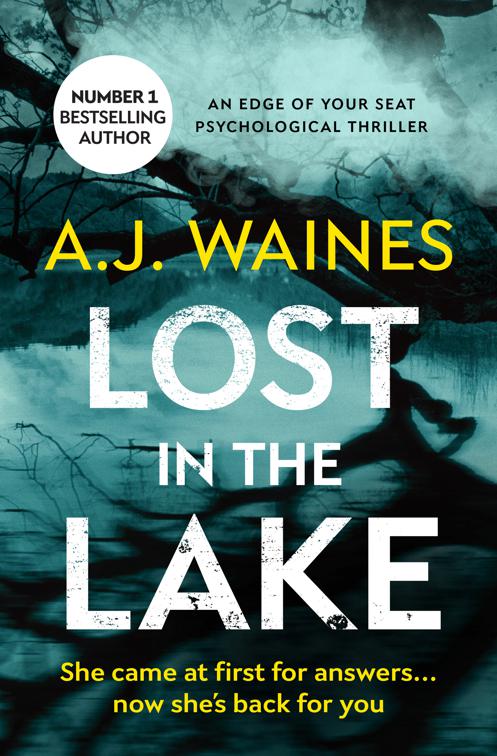 Lost in the Lake, The Samantha Willerby Mysteries