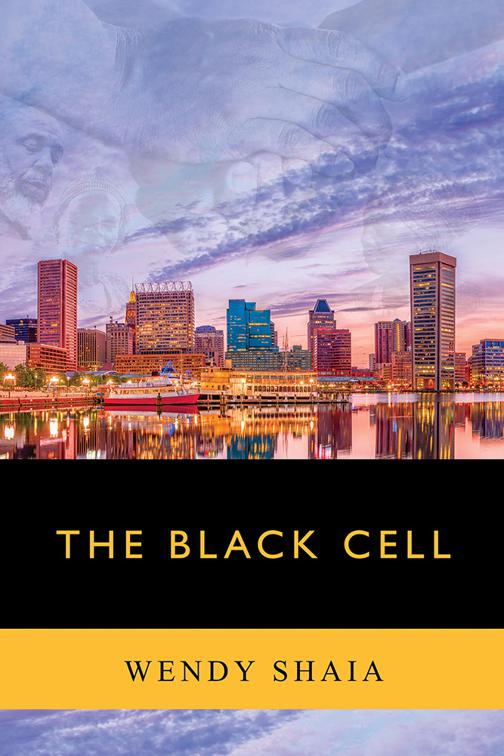 This image is the cover for the book The Black Cell