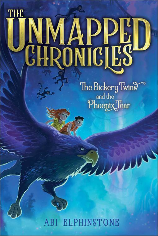 Bickery Twins and the Phoenix Tear, The Unmapped Chronicles