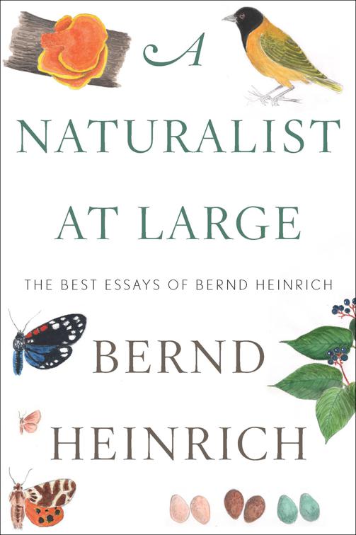 Naturalist at Large