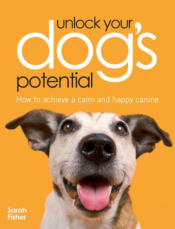 Unlock Your Dog&#x27;s Potential