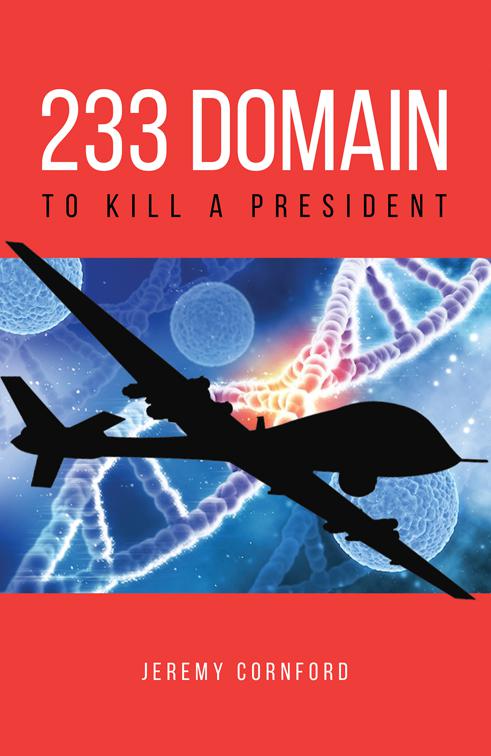 This image is the cover for the book 233 Domain