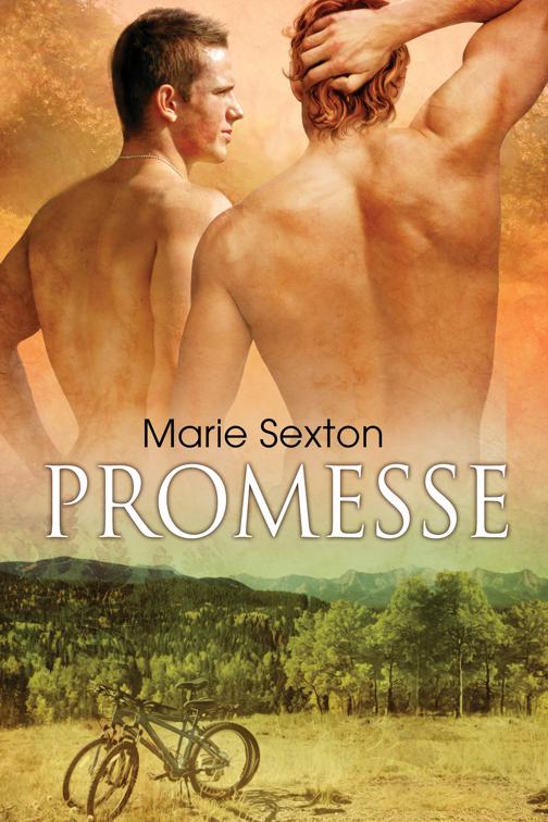 This image is the cover for the book Promesse, Coda (Italiano)