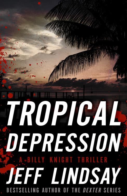 This image is the cover for the book Tropical Depression, The Billy Knight Thrillers