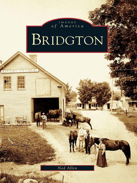 This image is the cover for the book Bridgton, Images of America