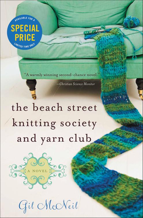 Beach Street Knitting Society and Yarn Club