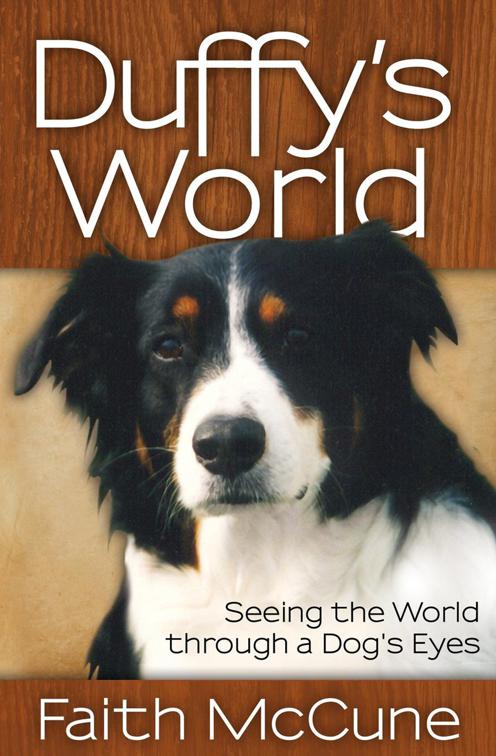Duffy&#x27;s World