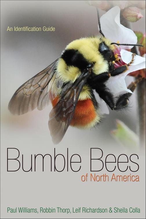 Bumble Bees of North America, Princeton Field Guides