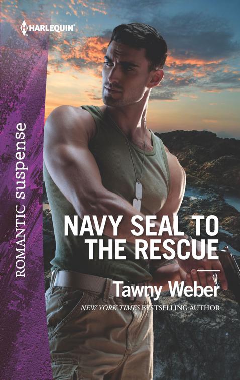Navy SEAL to the Rescue, Aegis Security