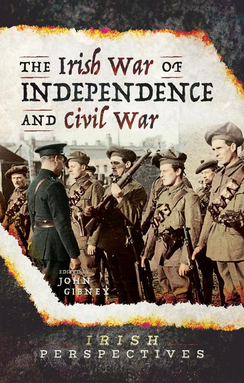 Irish War of Independence and Civil War, Irish Perspectives