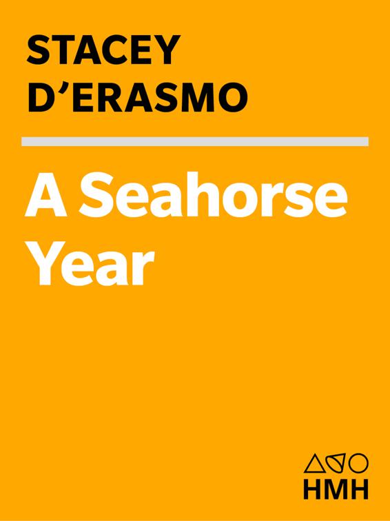 Seahorse Year