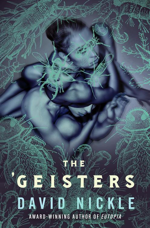 &#x27;Geisters