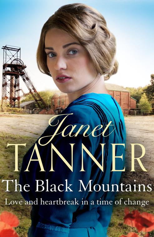 Black Mountains, The Hillsbridge Sagas