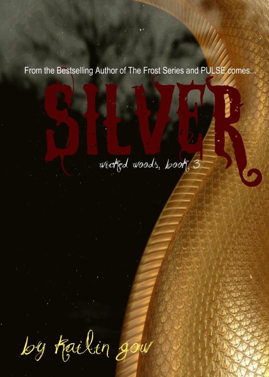 This image is the cover for the book Silver, Wicked Woods