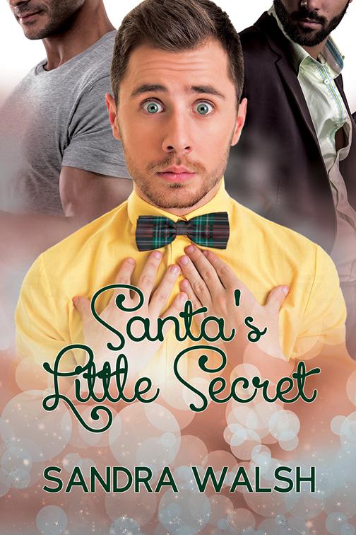 Santa&#x27;s Little Secret