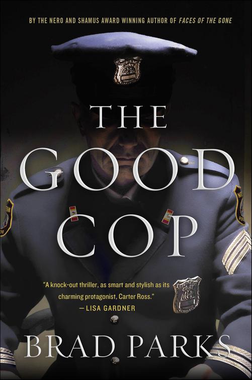 Good Cop, The Carter Ross Mystery Series