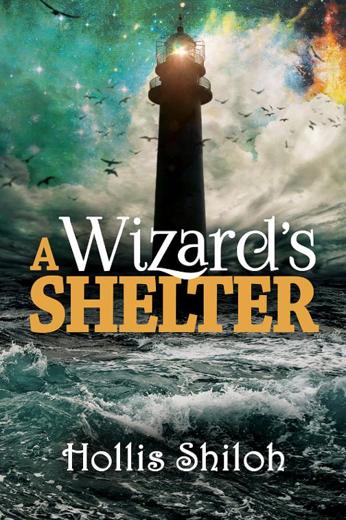 This image is the cover for the book A Wizard's Shelter