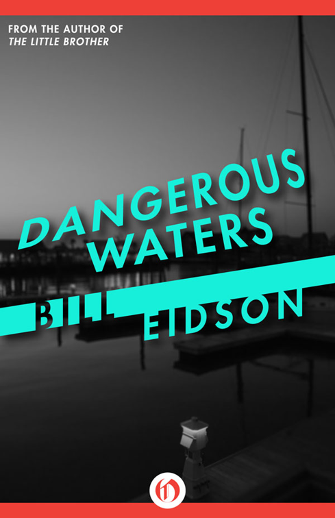 This image is the cover for the book Dangerous Waters