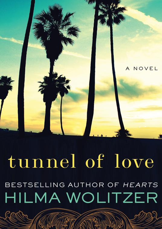 This image is the cover for the book Tunnel of Love
