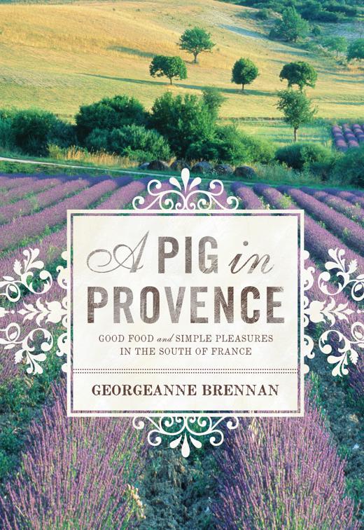 Pig in Provence