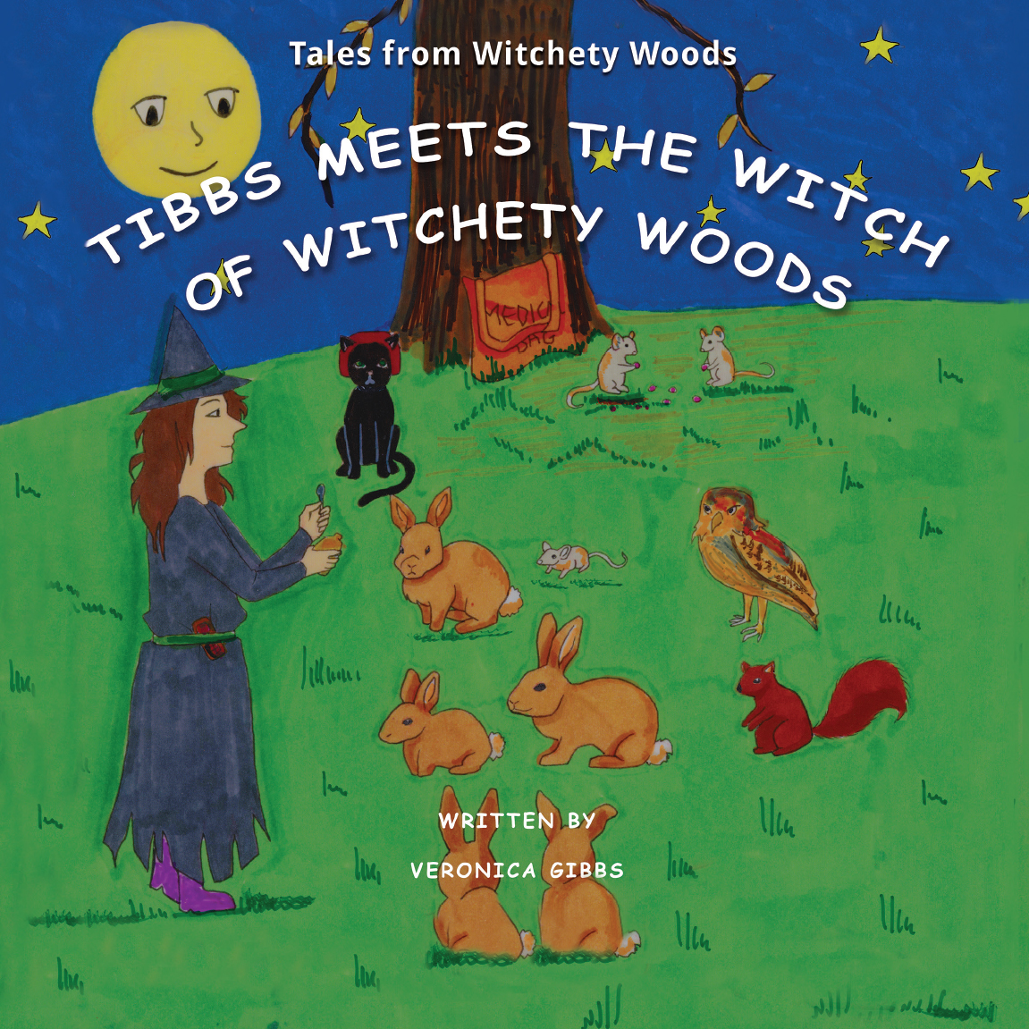 This image is the cover for the book Tibbs Meets The Witch of Witchety Woods