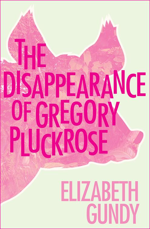 Disappearance of Gregory Pluckrose