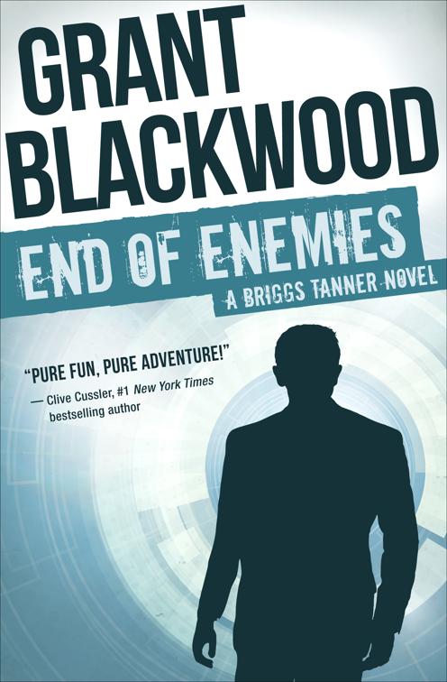 End of Enemies, The Briggs Tanner Novels