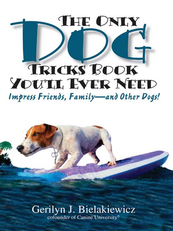 Only Dog Tricks Book You&#x27;ll Ever Need