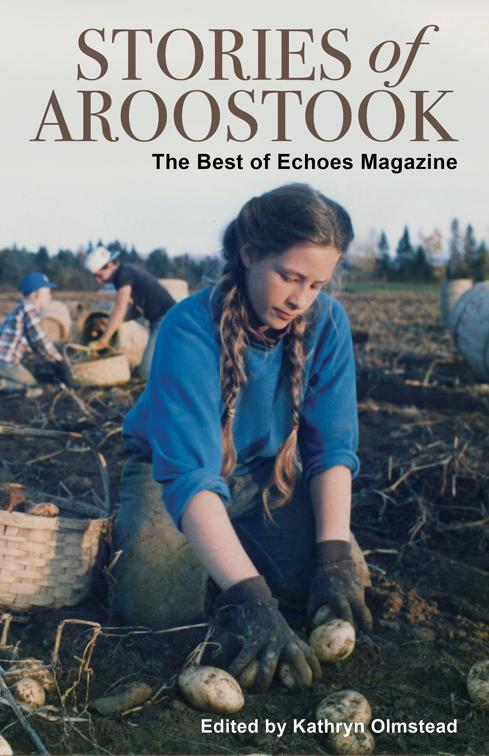 This image is the cover for the book Stories of Aroostook