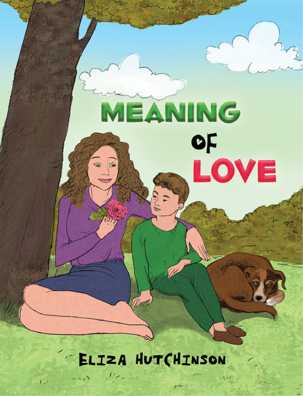 This image is the cover for the book Meaning of Love