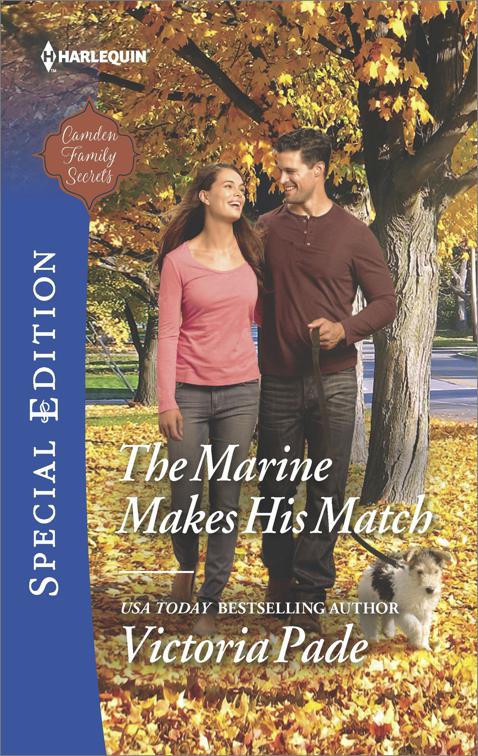 Marine Makes His Match, Camden Family Secrets