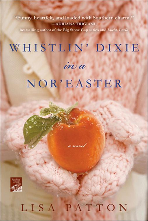 Whistlin&#x27; Dixie in a Nor&#x27;easter, Dixie Series