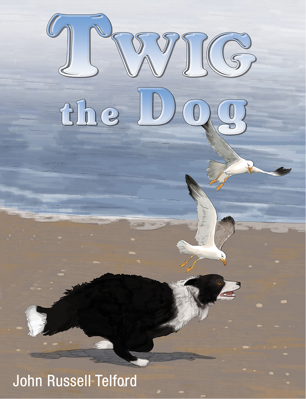 This image is the cover for the book Twig the Dog