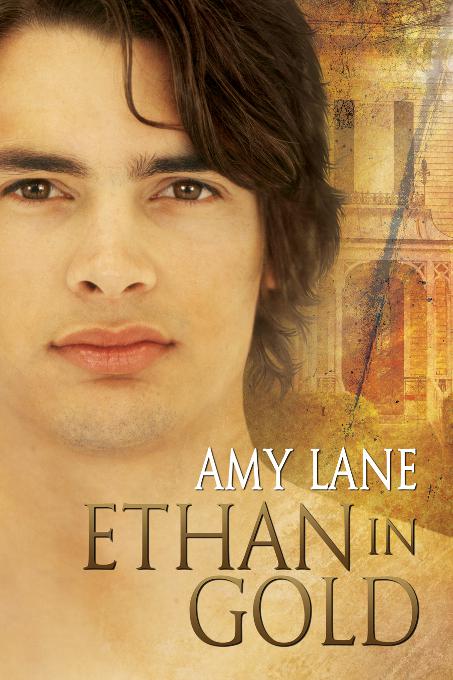 This image is the cover for the book Ethan in Gold, Johnnies