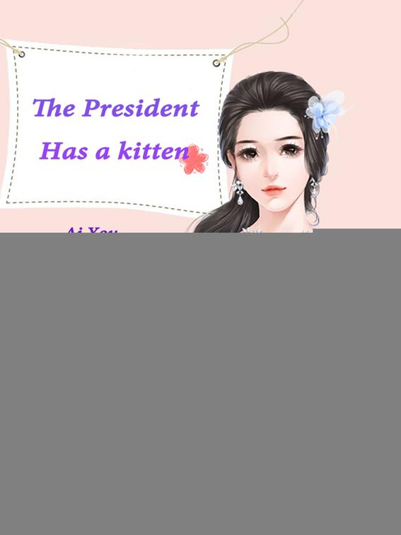 The President Has a kitten, Volume 2